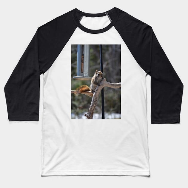 Waiting for Lunch , Squirrel Baseball T-Shirt by rconyard